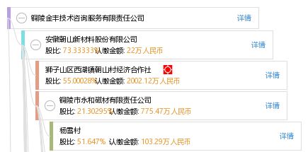 銅陵金豐技術咨詢服務有限責任公司 專業引領，技術賦能未來